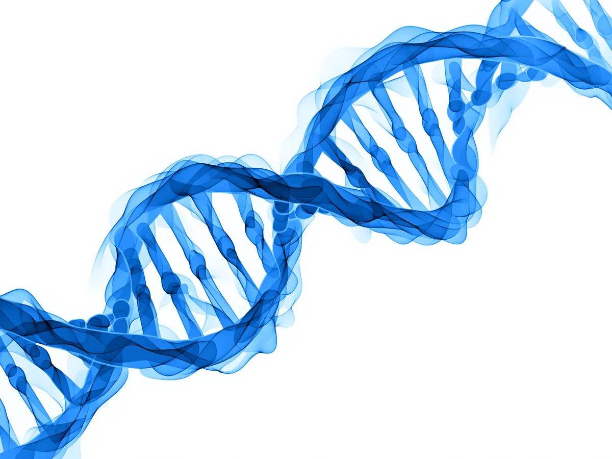 Badanie genetyczne z konsultacją kliniczną w Warsaw Genomics