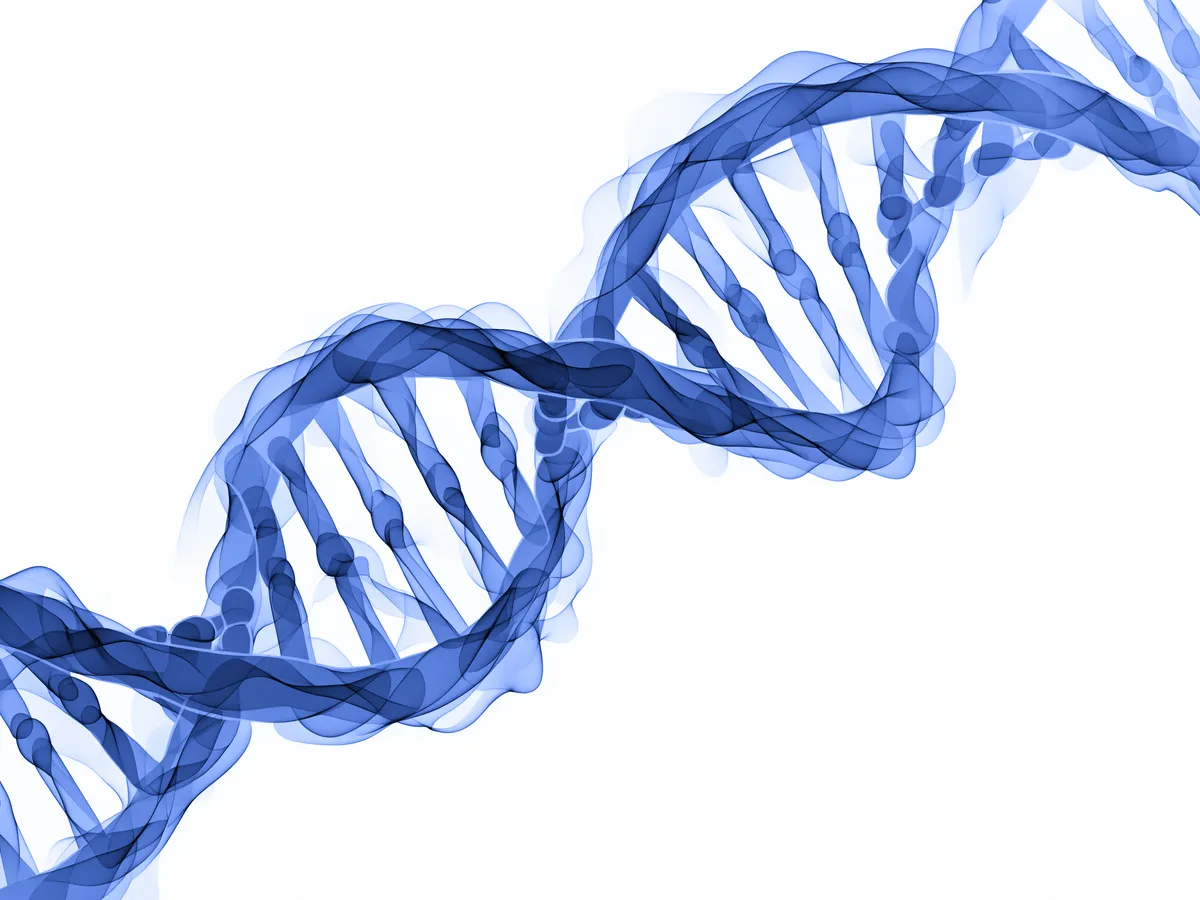 Badanie genetyczne z konsultacją kliniczną w Warsaw Genomics