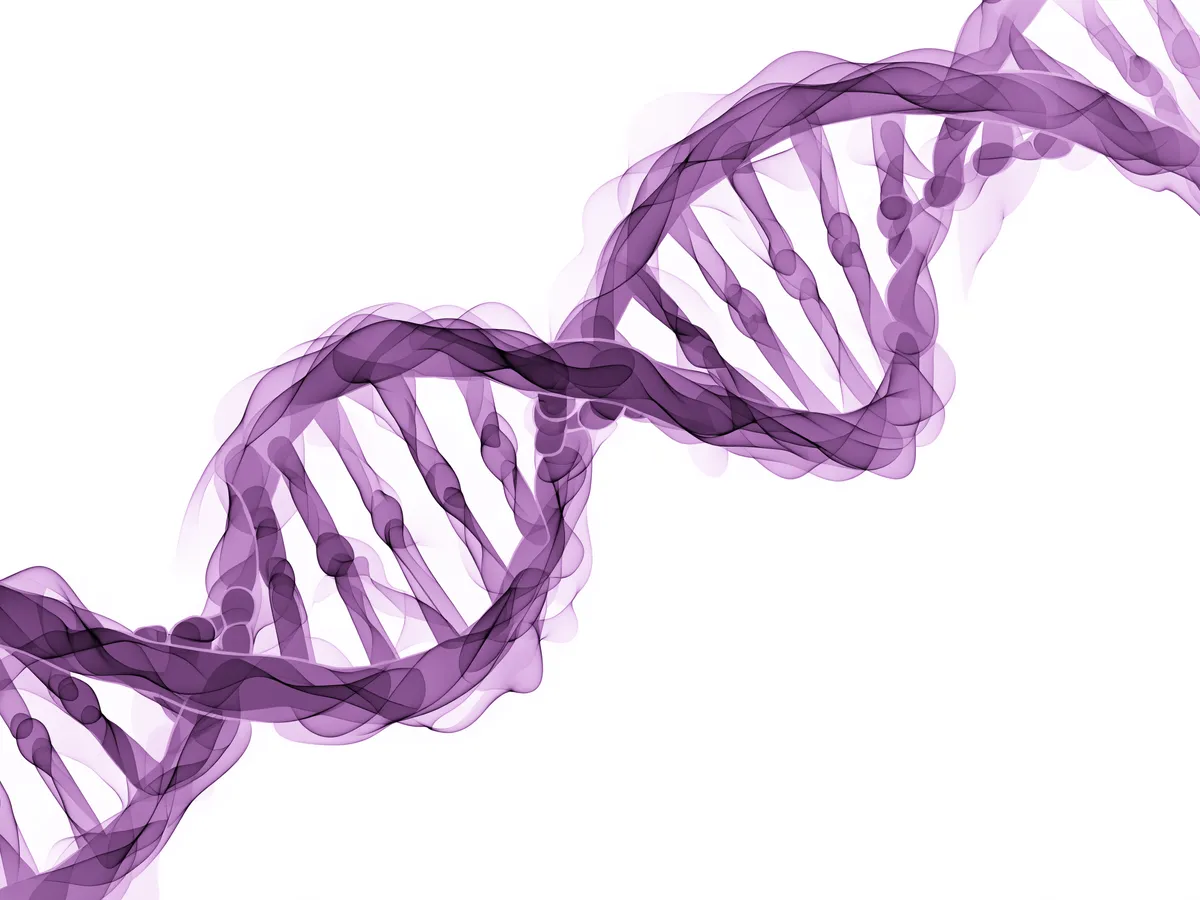 Badanie genetyczne z konsultacją kliniczną w Warsaw Genomics