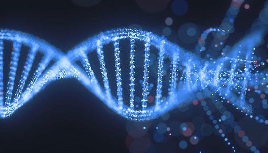 Akademia Warsaw Genomics - inicjatywa edukacyjna dla lekarzy
